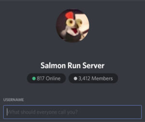 Salmon Run Server